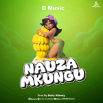 D Music – Nauza Mkungu