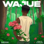Dayoo – Wajue