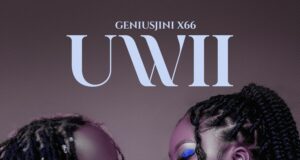 Geniusjini X66 – Uwii