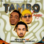 Tambo | Download
