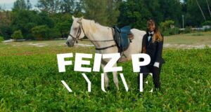 VIDEO | Feiz P Ft. Yuve – Huba