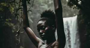 Hanstone – Jumanji