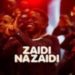 Zaidi Na Zaidi | Download