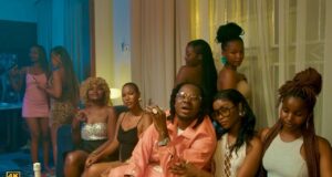 VIDEO | Lava Lava Ft. Billnass & Dj Awakening – V.I.P