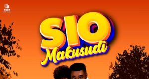AUDIO | Stizo – Sio makusudi | Download