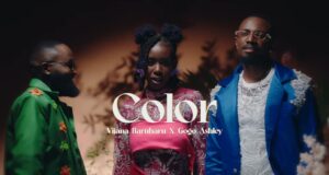 AUDIO | Vijana Barubaru X Gogo Ashley – Color | Download