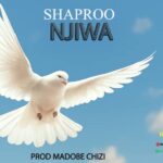 AUDIO | Shaproo – Njiwa | Download