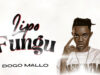 AUDIO | Dogo Mallo – Lipo Fungu | Download