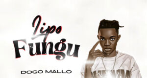 AUDIO | Dogo Mallo – Lipo Fungu | Download