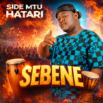 SEBENE | Download