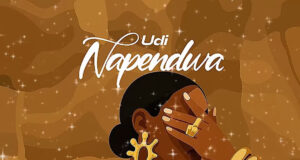 AUDIO | Udi – Napendwa | Download