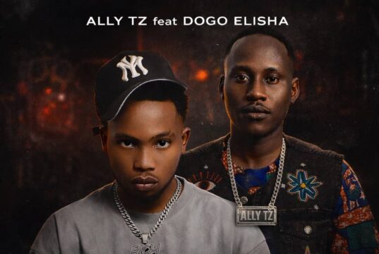 AUDIO | Ally Tz Ft. Dogo Elisha – Akupendi | Download