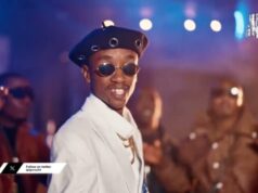 AMAPIANO MIX 2026 Dj PEREZ