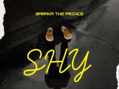 AUDIO | Barakah The Prince – SHY | Download