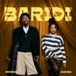 Baridi | Download