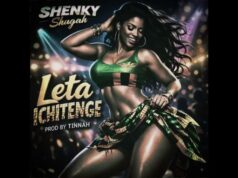 AUDIO | Shenky – Leta Ichitenge | Download