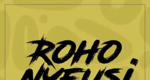 AUDIO | Mazegele boy – ROHO NYEUSI | Download