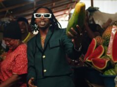 VIDEO | Dogo Janja feat Aslay – One Day