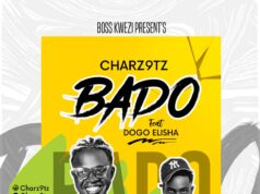 AUDIO | Charz9 Ft Dogo Elisha – Bado | Download