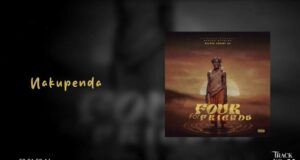 AUDIO | Kiluza Fanani – Nakupenda | Download