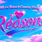 Reason | Download