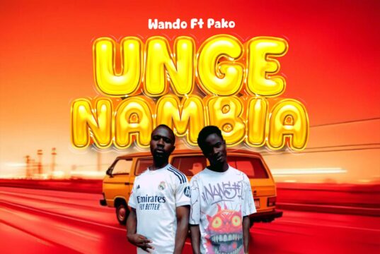 AUDIO | Wando Ft. Pako – Ungeniambia | Download