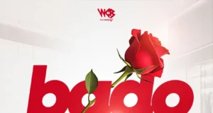 AUDIO | Zuchu – Bado Nakupenda | Download