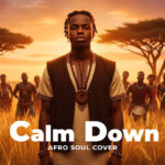 Calm Down (Afro Soul Cover) Mansur | Download