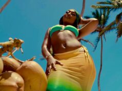 VIDEO | Nameless Ft Marioo – Nasinzia II