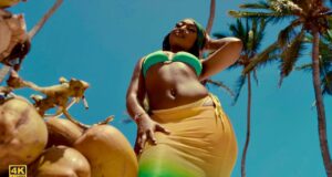 VIDEO | Nameless Ft Marioo – Nasinzia II