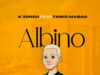 AUDIO | K Zungu Ft. Tinko Mabao – Albino | Download