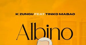 AUDIO | K Zungu Ft. Tinko Mabao – Albino | Download