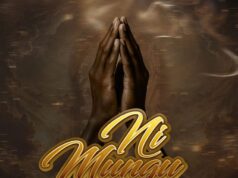 AUDIO | Platform Ft. Mr Seed – Ni Mungu | Download