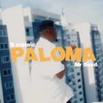 B Classic X Mr Seed – Paloma