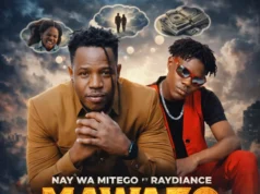 AUDIO | Nay Wa Mitego Ft Raydiance – Mawazo | Download