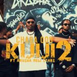 Chaba 009 Ft. Arusha New Stars – TuNaSePA Na Kijiji 2