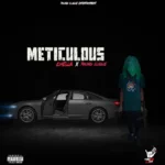 Chella Ft Young Clique – Meticulous