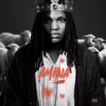 Racine – Amina