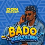 Don Breezy – Bado Hajazaliwa