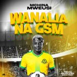 Mchina Mweusi – Wanalia na GSM