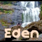 Tmb Michael – Eden
