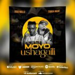 Dogo Mallo Ft. Tundamani – MOYO USHAGAILI