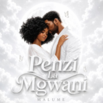 Penzi La Mgwani