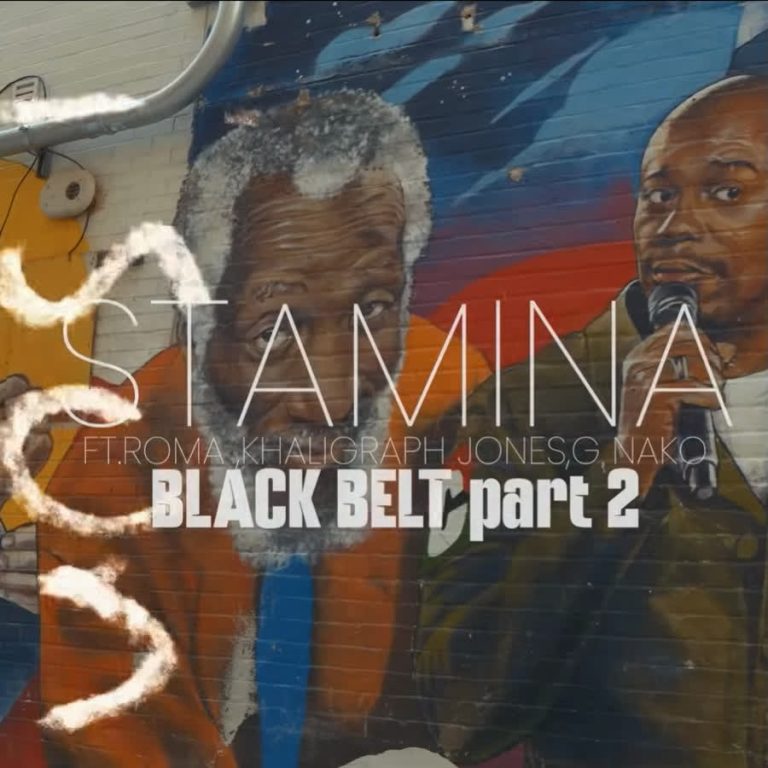 Black Belt Part 2 | Download