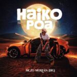 Mczo Morfan (Big) – Haiko Poa