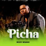 Mudy Msanii – Picha